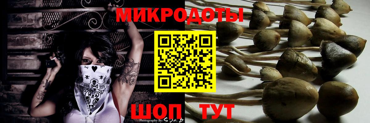 Псилоцибиновые грибы GOLDEN TEACHER  Псилоцибиновые грибы Magic Shrooms  Знаменск  Вход с VPN 