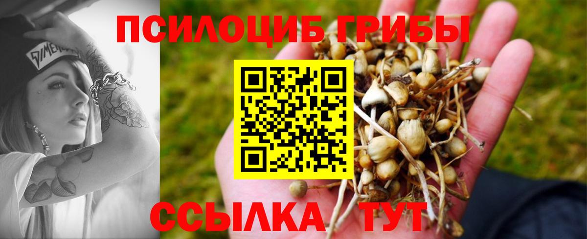 Галлюциногенные грибы Magic Shrooms Знаменск